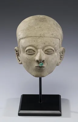 Head