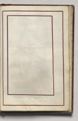 Border, folio 42 (recto), from Florilegium (A Book of Flower Studies)