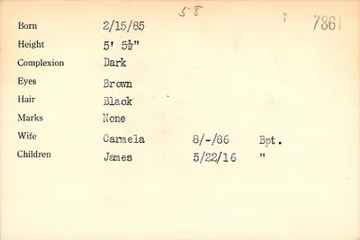 p. 8