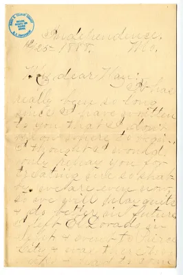 p. 8