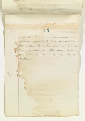p. 29