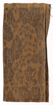 Textile Fragment