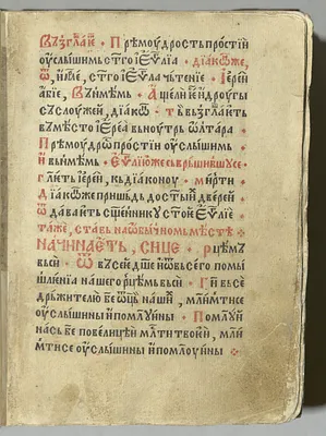 p. 31