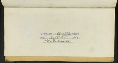 p. 8