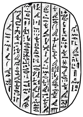 p. 5