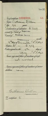p. 46