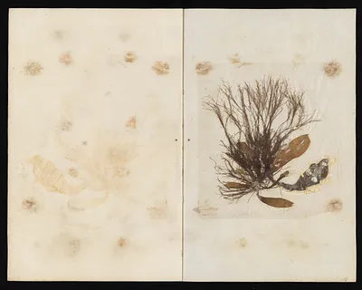 p. 22