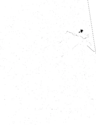 p. 14