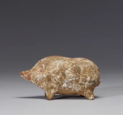 Pig