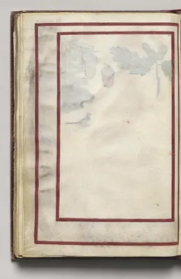 Border, folio 44 (verso), from Florilegium (A Book of Flower Studies)