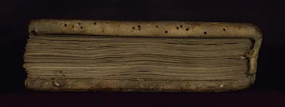 p. 7