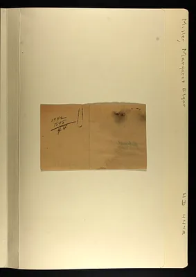 p. 19