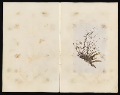 p. 29