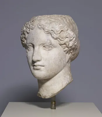 Head of a Goddess