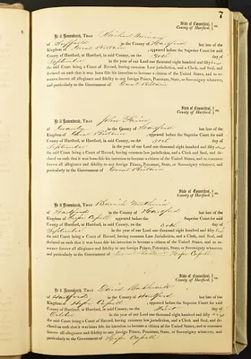 p. 8