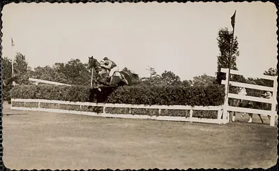 Horse race in acation [i.e. action]