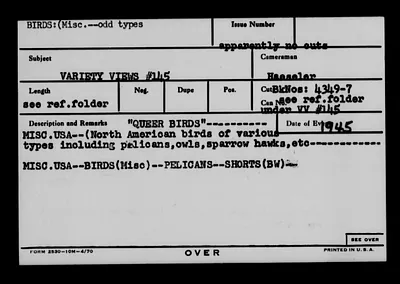 p. 53