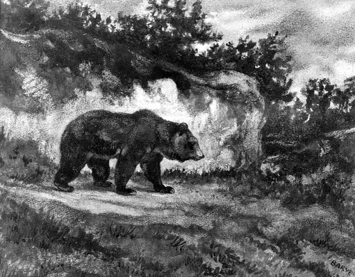 Walking Bear