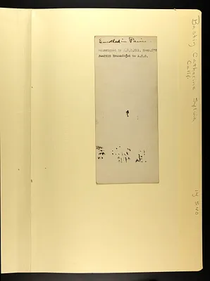 p. 4