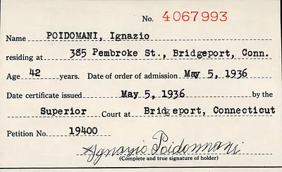 p. 29