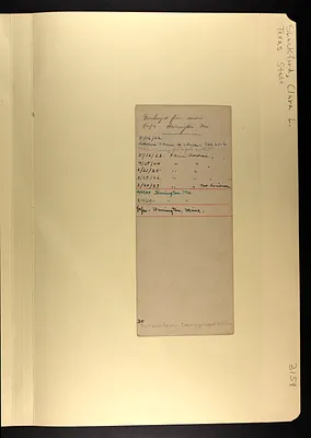 p. 4