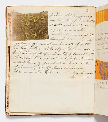 p. 16