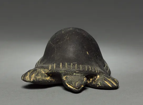 Turtle