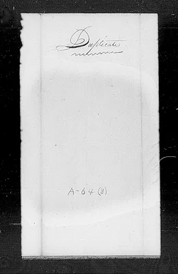 p. 31