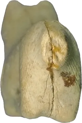 p. 4