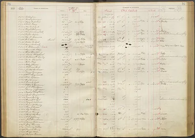 p. 20