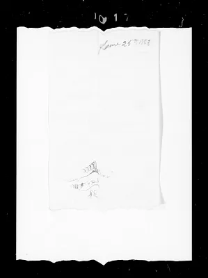 p. 27