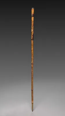 Walking Stick of Moses Seymour