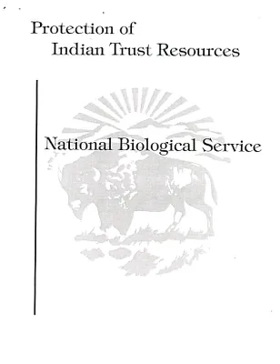 p. 55