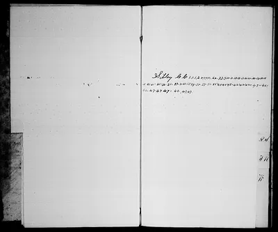 p. 8