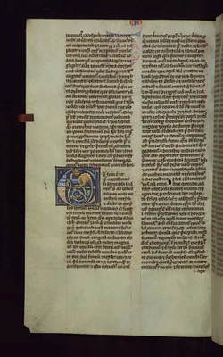 Initial ""E"" with Dragon