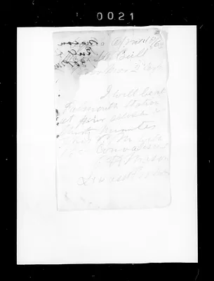 p. 31