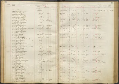 p. 24