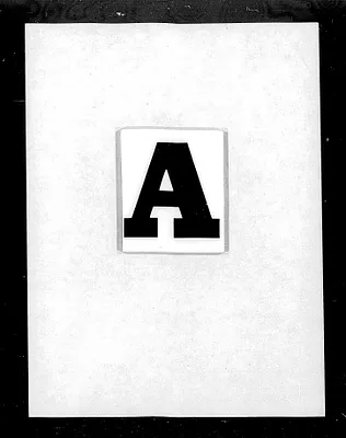 p. 4