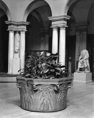 Wellhead Carved in Low Relief with Decorative Thistle Leaves, Birds, Trophies and Coat-of-Arms Bearding Erased Arms of the Scalieri family of Verona
