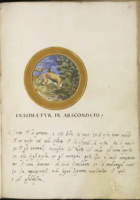 Leaf from Emblem Book