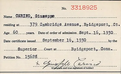 p. 31
