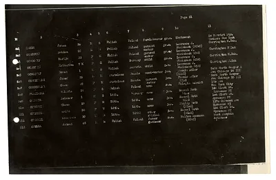 p. 41