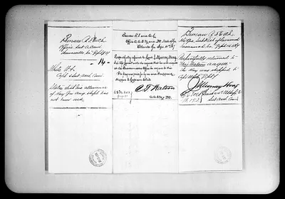 p. 31