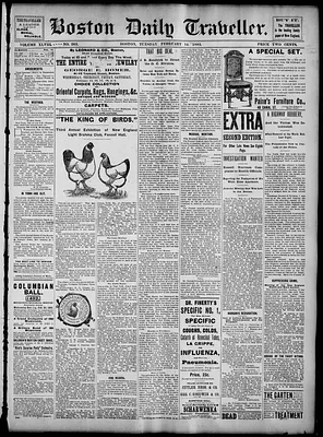 Boston Daily Traveller