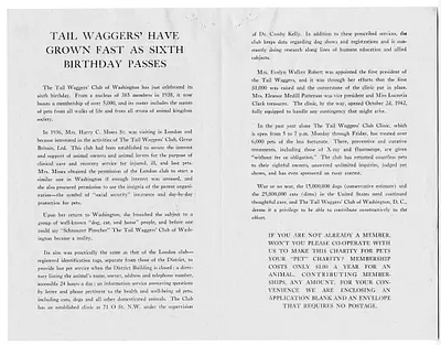 p. 6