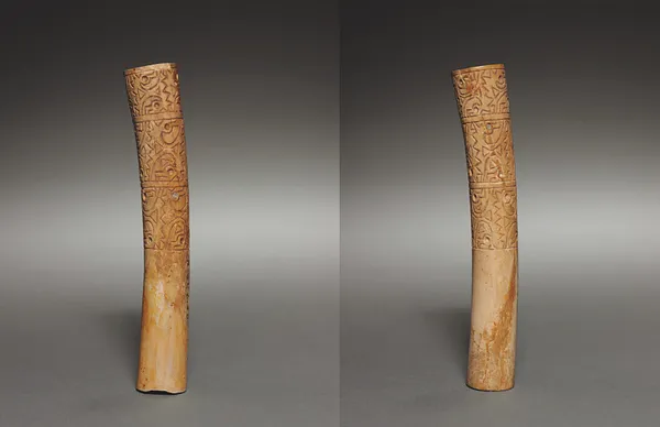 Pair of Ear Ornaments