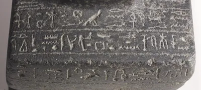 p. 11