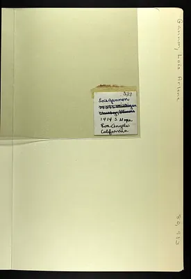 p. 39