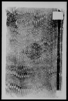 p. 24