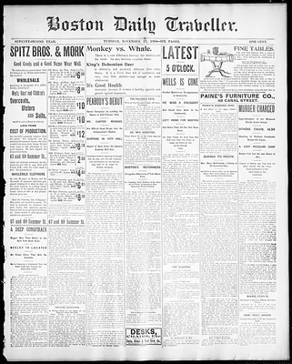 Boston Daily Traveller